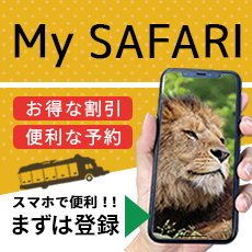 記事「My SAFARI入園チケット 価格改定のご案内（3月1日から）」の画像