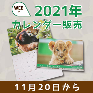 記事「2021年版カレンダー ネット販売（限定500部）」の画像