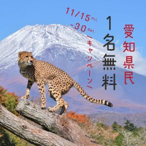 記事「愛知県民《1名無料》キャンペーン（11月15日～30日）」の画像